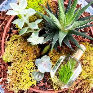 Drink the Wild Air Luxe Perfume Oil
