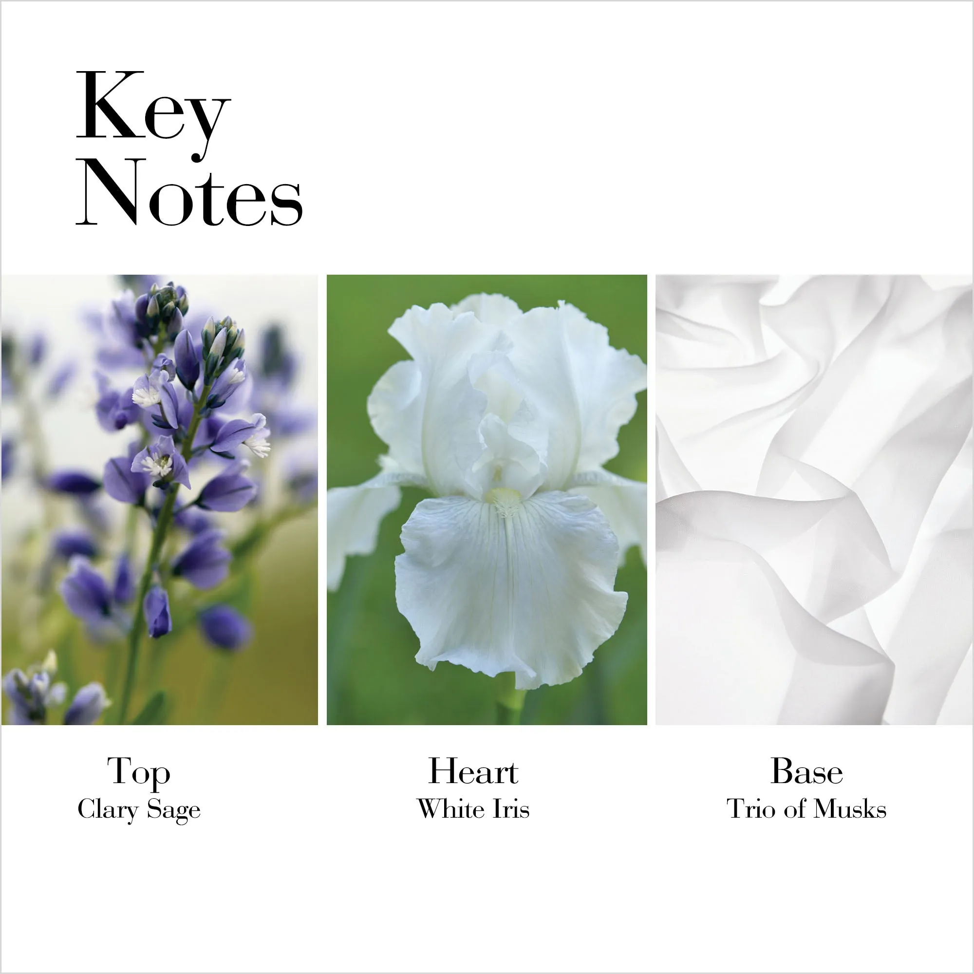 White Tea Hand Cream 30ml