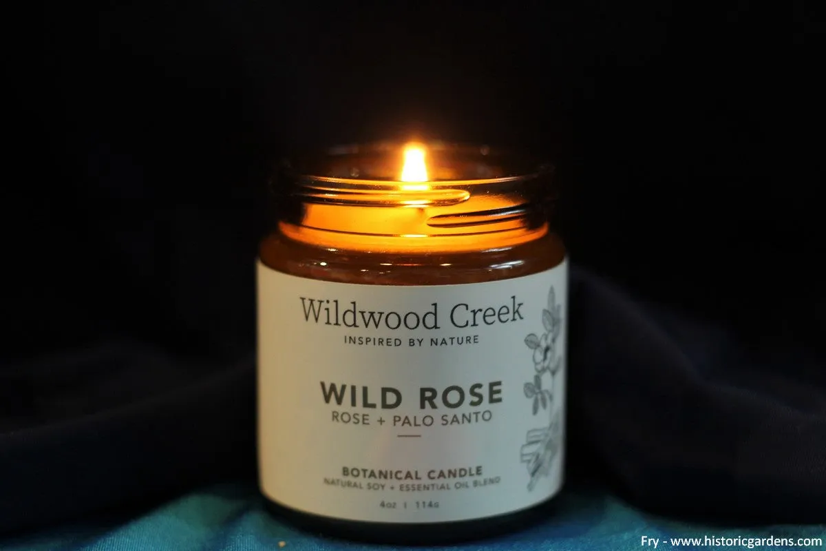 Wildwood Creek - Botanical Candles